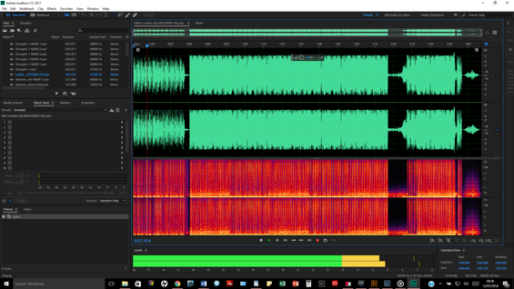 Audio spectrogram in software